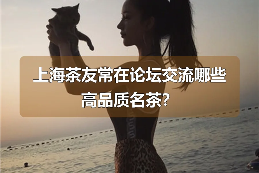 上海茶友常在论坛交流哪些高品质名茶？