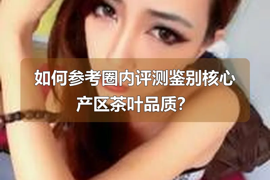 如何参考圈内评测鉴别核心产区茶叶品质？